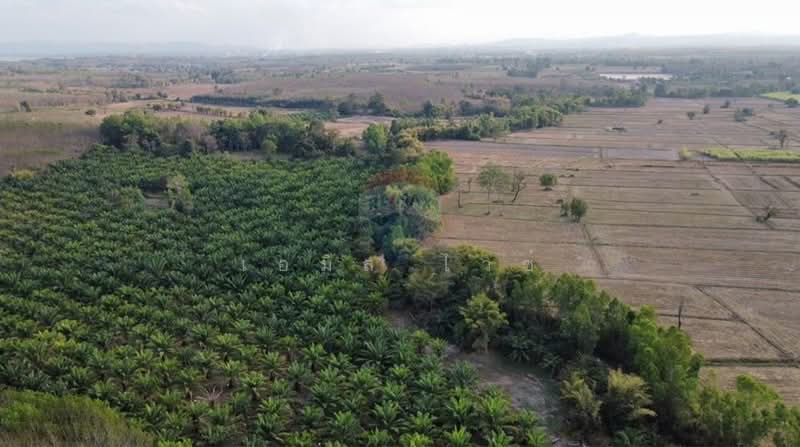 ขาย - 920211013-32, อุดรธานี