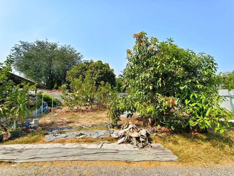 บ้านเดี่ยวบ้านโป่ง ราชบุรี, Ratchaburi, Nong Kop, Ban Pong, Ratchaburi, 3 Bedrooms, 120 sqm, Single Detached House For Sale, by The Best Property หมิว, 500283626 - DDproperty.com