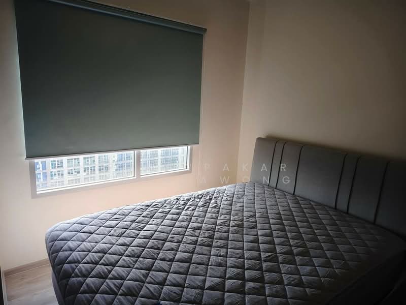 Niche Mono Ramkhamhaeng, Bangkok, Soi Ramkhamhaeg 36, Hua Mak, Bang Kapi, Bangkok, 1 Bedroom, 29 sqm, Condo For Rent, by Praewpakar Soontawong, 500283651 - DDproperty.com