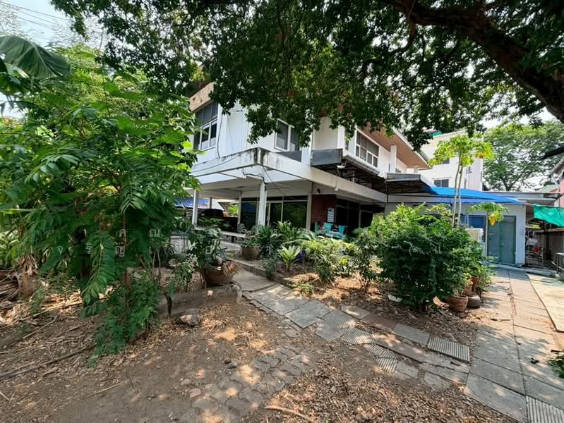 บ้านเดี่ยว 2 ชั้น 166 ตร.ว. บ้านเดี่ยว ใกล้บิ๊กซี ซูเปอร์เซ็นเตอร์ลาดพร้าว1 ซอยลาดพร้าว79, Bangkok, ถนนลาดพร้าว, Khlong Chaokhun Sing, Wang Thonglang, Bangkok, 3 Bedrooms, 600 sqm, Single Detached House For Sale, by คุณ พรหมภัสสร เจริญเชื้อตาพระ (แพม), 500283688 - DDproperty.com