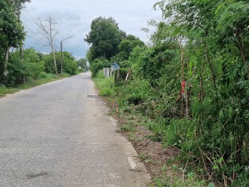 For Sale - ที่ดินคลองหลวง ปทุมธานี, Pathum Thani