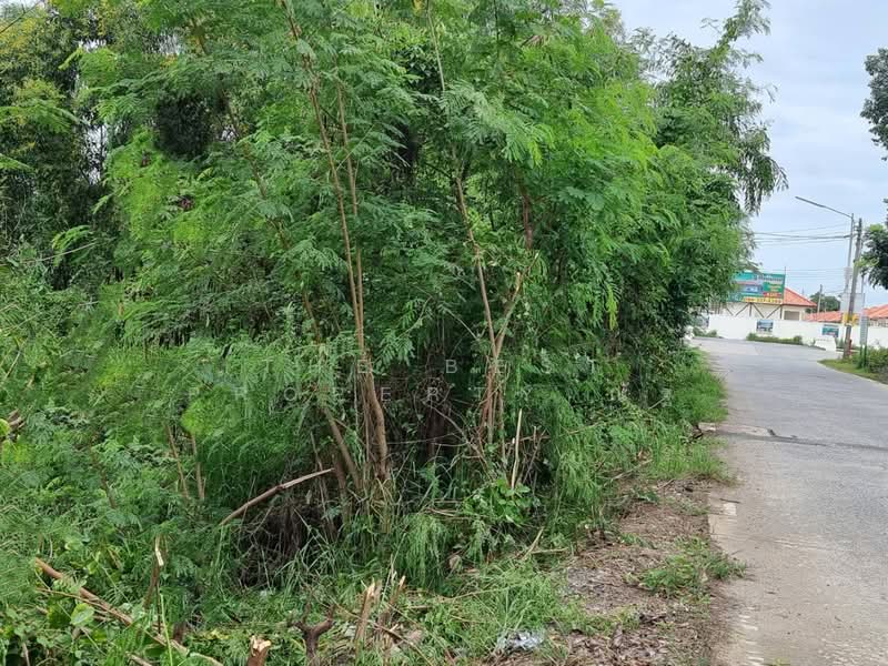 For Sale - ที่ดินคลองหลวง ปทุมธานี, Pathum Thani