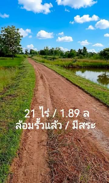 ขาย - ขายที่ดินแปลงสวย ทำเลศักยภาพสูง อำเภอแวงน้อย จังหวัดขอนแก่น (TL07-0726), ขอนแก่น