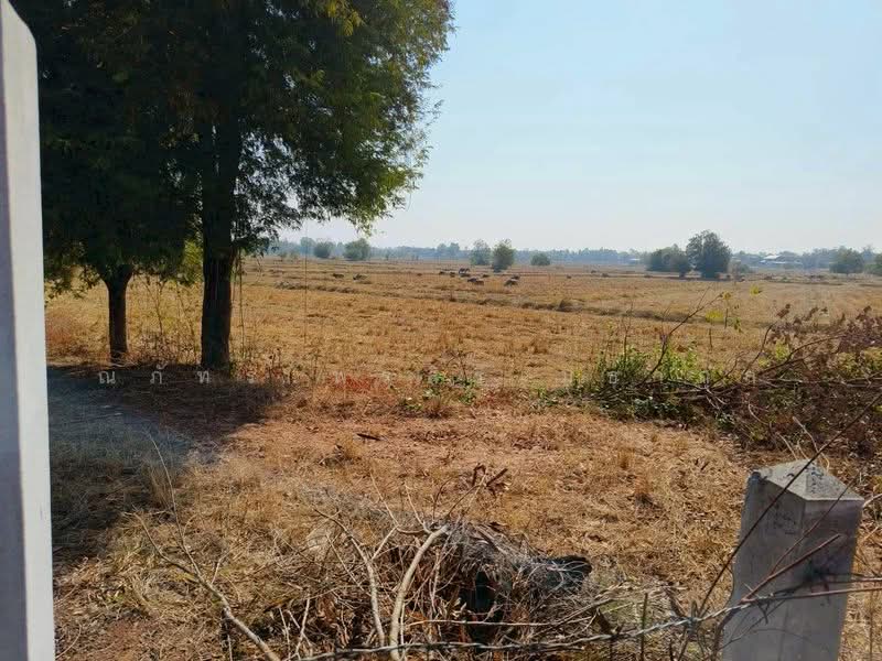 ขายที่ดินแปลงใหญ่ ทำเลศักยภาพสูง อำเภอพล ขอนแก่น (TL07-0826), Khon Kaen, Nong Waeng Sok Phra, Phon, Khon Kaen, , 30,400 sqm, Land For Sale, by ณภัทร พรสิริเมธากุล, 500283745 - DDproperty.com