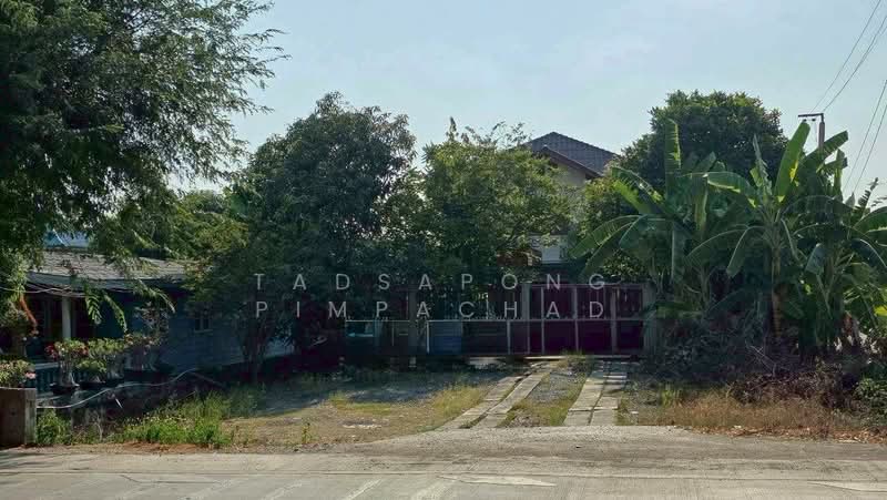 บ้านเดี่ยวแปลงใหญ่ 194.3 ตร.ว. ทำเลทองติด 7-11 ต.บางพูด จ.ปทุมธานี, ปทุมธานี, บางพูน, เมืองปทุมธานี, ปทุมธานี, 180 ตร.ม., บ้านเดี่ยว ขาย, โดย Tadsapong Pimpachad, 500283998 - DDproperty.com