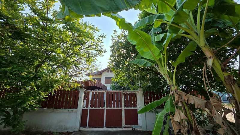 บ้านเดี่ยวแปลงใหญ่ 194.3 ตร.ว. ทำเลทองติด 7-11 ต.บางพูด จ.ปทุมธานี, ปทุมธานี, บางพูน, เมืองปทุมธานี, ปทุมธานี, 180 ตร.ม., บ้านเดี่ยว ขาย, โดย Tadsapong Pimpachad, 500283998 - DDproperty.com