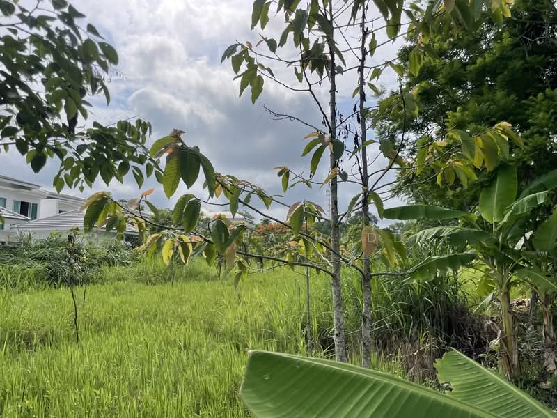 ที่ดินสวย วิวงามให้เช่าระยะยาว - ฝรั่งเช่าได้, เชียงใหม่, ห้วยทราย, แม่ริม, เชียงใหม่, 1,600 ตร.ม., ที่ดิน ให้เช่า, โดย Pornnipa Buddee, 500284023 - DDproperty.com