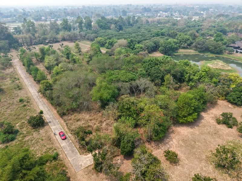 920211013-102, Chiang Mai, Nong Harn, San Sai, Chiang Mai, , 5,264 sqm, Land For Sale, by Emil Weiss, 500284047 - DDproperty.com