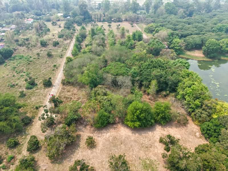 920211013-102, Chiang Mai, Nong Harn, San Sai, Chiang Mai, , 5,264 sqm, Land For Sale, by Emil Weiss, 500284047 - DDproperty.com