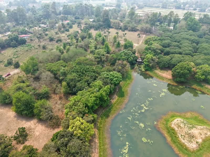 920211013-102, Chiang Mai, Nong Harn, San Sai, Chiang Mai, , 5,264 sqm, Land For Sale, by Emil Weiss, 500284047 - DDproperty.com