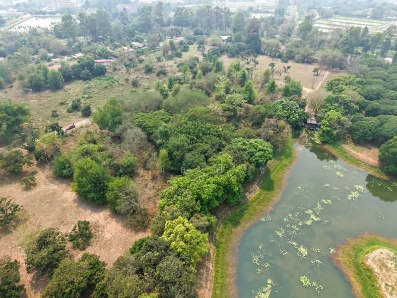 920211013-102, Chiang Mai, Nong Harn, San Sai, Chiang Mai, , 5,264 sqm, Land For Sale, by Emil Weiss, 500284047 - DDproperty.com