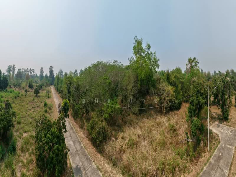 920211013-102, Chiang Mai, Nong Harn, San Sai, Chiang Mai, , 5,264 sqm, Land For Sale, by Emil Weiss, 500284047 - DDproperty.com