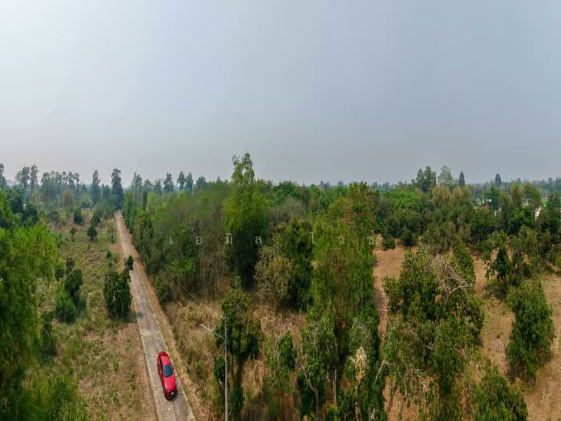 920211013-102, Chiang Mai, Nong Harn, San Sai, Chiang Mai, , 5,264 sqm, Land For Sale, by Emil Weiss, 500284047 - DDproperty.com