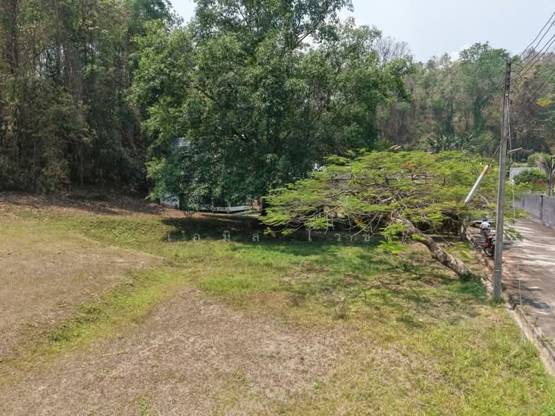 920211013-101, Chiang Mai, Ban-Pong, Hang Dong, Chiang Mai, , 1,176 sqm, Land For Sale, by Emil Weiss, 500284068 - DDproperty.com