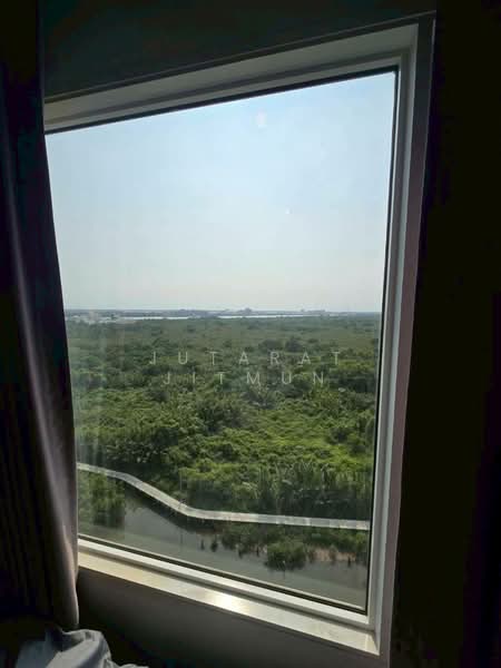 Aspire Erawan, Samut Prakan, Sukhumvit, Pak Nam, Muang Samut Prakarn, Samut Prakan, 2 Bedrooms, 36 sqm, Condo For Rent, by Jutarat Jitmun, 500284095 - DDproperty.com