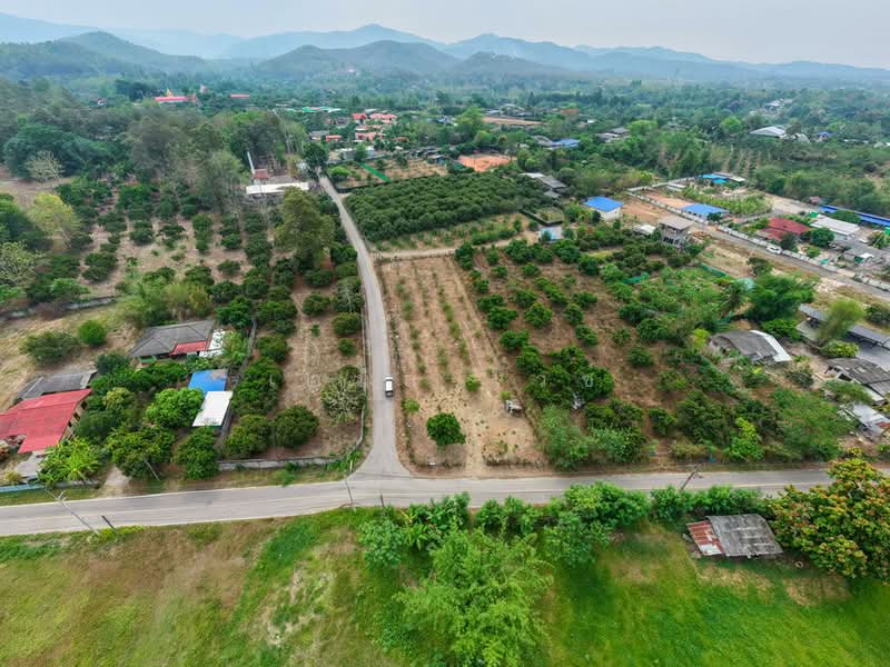 920211013-95, Chiang Mai, Mae Phaek, San Sai, Chiang Mai, , 2,160 sqm, Land For Sale, by Emil Weiss, 500284111 - DDproperty.com