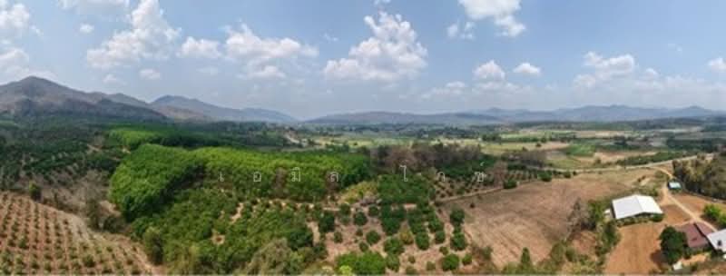 For Sale - 920211013-71, Chiang Mai