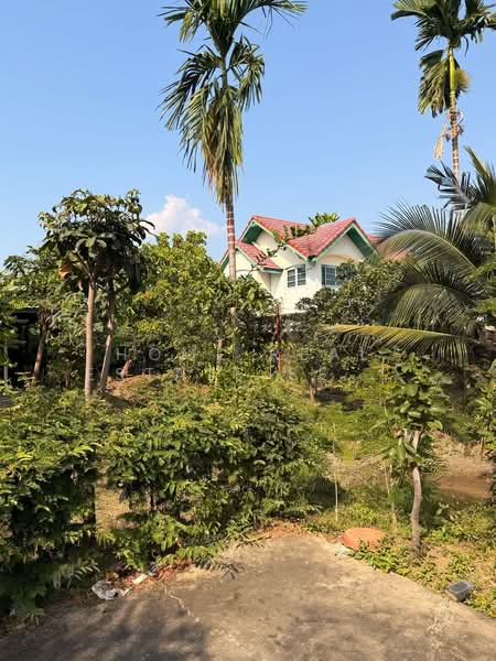 Land Prachachuen Soi 4 Yaek 2/1, Nonthaburi, Bang Khen, Muang Nonthaburi, Nonthaburi, , 484 sqm, Land For Sale, by HOME Real Estate Service, 500284297 - DDproperty.com