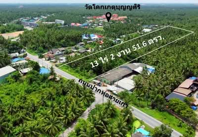 ขาย - ที่ดินอัมพวา สมุทรสงคราม, สมุทรสงคราม