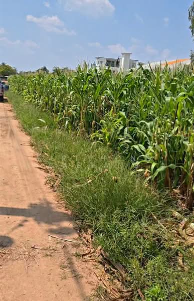 Beautiful Land for Sale in Tha Muang, Kanchanaburi, Kanchanaburi, แสงชูโต, Wang Khanai, Tha Muang, Kanchanaburi, , 4,800 sqm, Land For Sale, by Sirithong Saetang, 500284378 - DDproperty.com