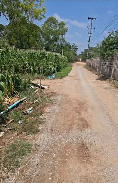 Beautiful Land for Sale in Tha Muang, Kanchanaburi, Kanchanaburi, แสงชูโต, Wang Khanai, Tha Muang, Kanchanaburi, , 4,800 sqm, Land For Sale, by Sirithong Saetang, 500284378 - DDproperty.com