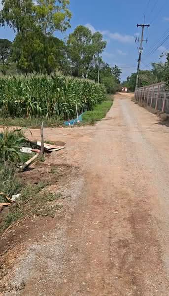ขายที่ดินแปลงสวย ท่าม่วง กาญจนบุรี เหมาะลงทุน ใกล้ถนนใหญ่ เพียง 1 ชั่วโมงกว่าจากกรุงเทพ, กาญจนบุรี, แสงชูโต, วังขนาย, ท่าม่วง, กาญจนบุรี, 4,800 ตร.ม., ที่ดิน ขาย, โดย Sirithong Saetang, 500284378 - DDproperty.com