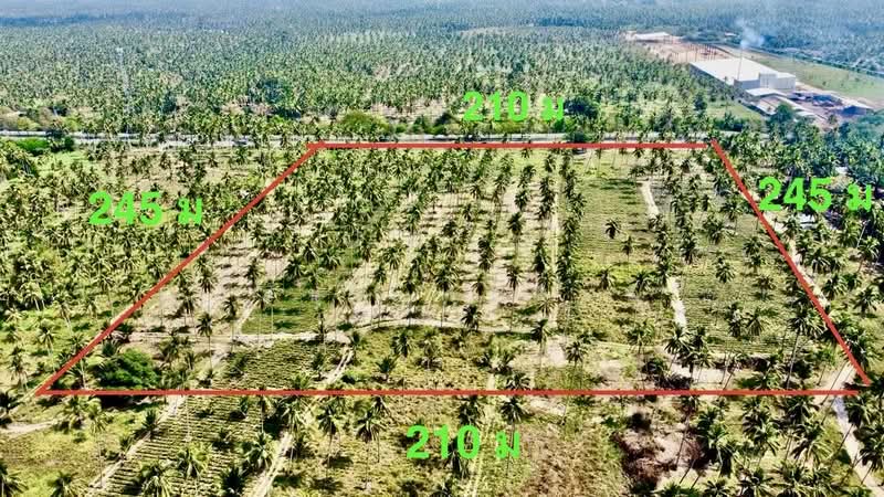 ที่ดิน ติดถนนเพชรเกษม ทับสะแก ประจวบคีรีขันธ์ 32 ไร่, Prachuap Khiri Khan, เพชรเกษม, Na Hu Kwang, Thap Sakae, Prachuap Khiri Khan, , 51,252 sqm, Land For Sale, by Wasan Wasati, 500284501 - DDproperty.com