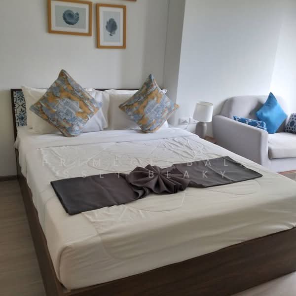The Base Central, Phuket, Chao Fah Tawan Tok Rd, Wichit, Muang Phuket, Phuket, 1 Bedroom, 27 sqm, Condo For Rent, by primeglobalasset Beaky, 500284674 - DDproperty.com