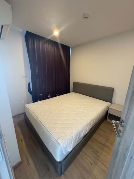 Serio Sukhumvit 50, Bangkok, Soi Sukhumvit 50, Phra Kanong, Khlong Toei, Bangkok, 1 Bedroom, 32 sqm, Condo For Rent, by Jakree Buajatturat, 500284699 - DDproperty.com