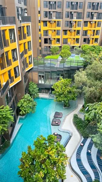 The Base Central, Phuket, Chao Fah Tawan Tok Rd, Wichit, Muang Phuket, Phuket, 1 Bedroom, 27 sqm, Condo For Rent, by primeglobalasset Nony, 500284700 - DDproperty.com