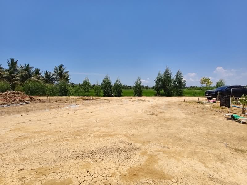 ที่ดินท่ายาง เพชรบุรี, Phetchaburi, Tha Yang, Tha Yang, Phetchaburi, , 248 sqm, Land For Sale, by The Best Property  น้ำตาล, 500284779 - DDproperty.com