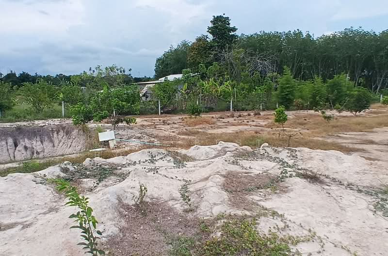 ที่ดินบ้านค่าย ระยอง, ระยอง, ตาขัน, บ้านค่าย, ระยอง, 892 ตร.ม., ที่ดิน ขาย, โดย The Best Property โบว์, 500284980 - DDproperty.com