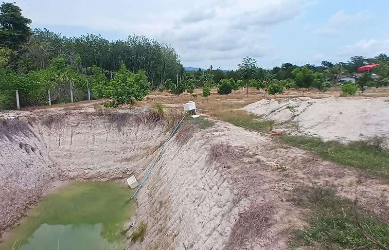 ที่ดินบ้านค่าย ระยอง, Rayong, Ta Khan, Ban Khai, Rayong, , 892 sqm, Land For Sale, by The Best Property โบว์, 500284980 - DDproperty.com