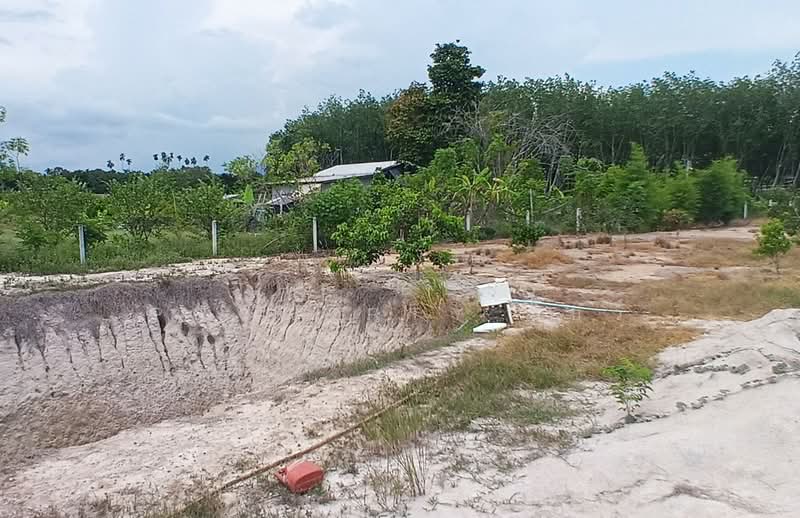 ที่ดินบ้านค่าย ระยอง, Rayong, Ta Khan, Ban Khai, Rayong, , 892 sqm, Land For Sale, by The Best Property โบว์, 500284980 - DDproperty.com