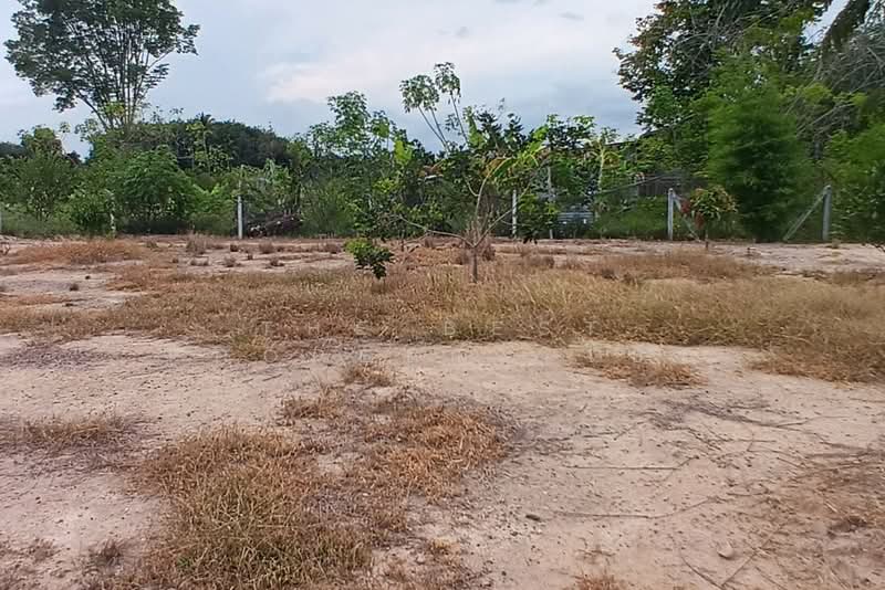 ที่ดินบ้านค่าย ระยอง, ระยอง, ตาขัน, บ้านค่าย, ระยอง, 892 ตร.ม., ที่ดิน ขาย, โดย The Best Property โบว์, 500284980 - DDproperty.com