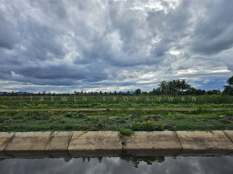 ที่ดินเพชรุบรี, เพชรบุรี, ธงชัย, เมืองเพชรบุรี, เพชรบุรี, 1,600 ตร.ม., ที่ดิน ขาย, โดย Taewin Sroysuwan, 500284996 - DDproperty.com