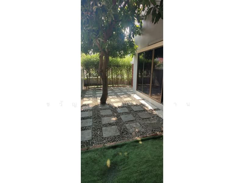 Baan Akesin 3 : บ้านเอกสิน 3, กรุงเทพ, ถนน นวลจันทร์, นวลจันทร์, บึงกุ่ม, กรุงเทพ, 180 ตร.ม., บ้านเดี่ยว ให้เช่า, โดย ขวัญเรือน ดีนาน, 500285317 - DDproperty.com