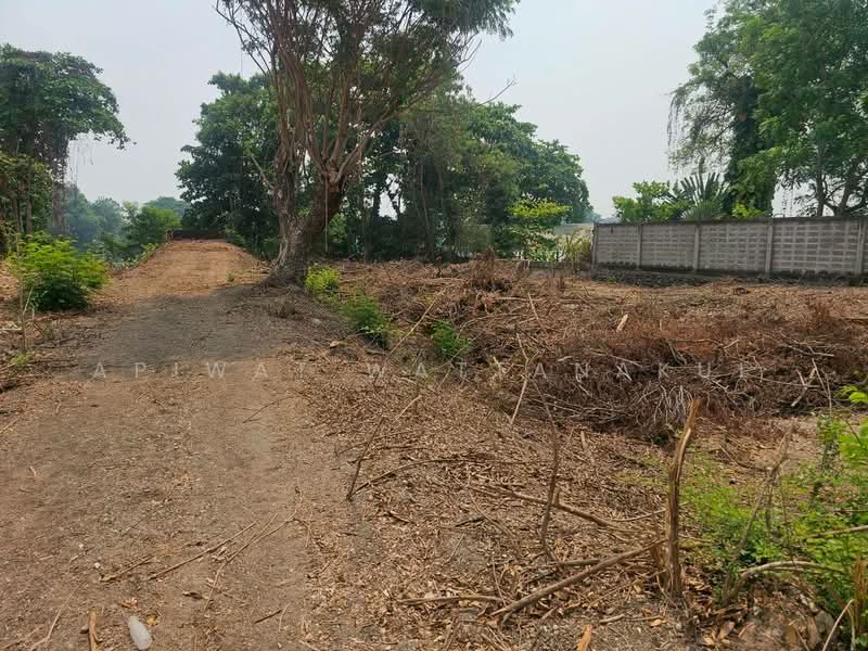 Waterfront land in the heart of Ratchaburi province, Ratchaburi, 3088 บ้านไร่, Nha Mueng, Muang Ratchaburi, Ratchaburi, , 9,600 sqm, Business For Sale, by Apiwat Wattanakul, 500285356 - DDproperty.com