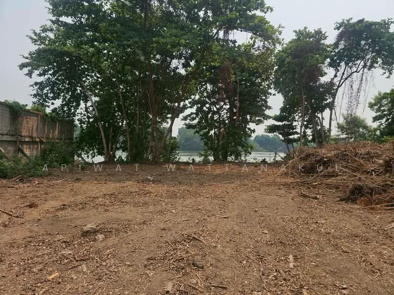 ที่ดินริมน้ำ กลางเมืองจังหวัดราชบุรี, ราชบุรี, 3088 บ้านไร่, หน้าเมือง, เมืองราชบุรี, ราชบุรี, 9,600 ตร.ม., กิจการ ขาย, โดย Apiwat Wattanakul, 500285356 - DDproperty.com