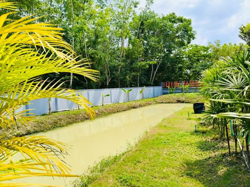 ขาย บ้านเดี่ยว ที่ดิน 2 ไร่ บ้านค่าย ระยอง, Rayong, Ban Khai, Ban Khai, Rayong, 7 Bedrooms, 500 sqm, Single Detached House For Sale, by Roselyn Tuntiwut, 500285514 - DDproperty.com
