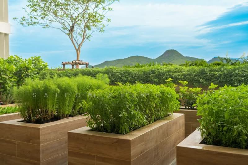VEHHA Hua Hin : เวหา หัวหิน, ประจวบคีรีขันธ์, ซอย หัวหิน 106, หนองแก, หัวหิน, ประจวบคีรีขันธ์, 63 ตร.ม., คอนโด ขาย, โดย Saifon Phuphanna, 500285536 - DDproperty.com