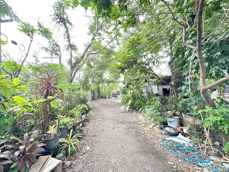 ให้เช่าที่ดิน 200 ตร.วา ถนนสุวินทวงศ์, กรุงเทพ, สุวินทวงศ์, แสนแสบ, มีนบุรี, กรุงเทพ, 800 ตร.ม., ที่ดิน ให้เช่า, โดย คุณรวีวรรณ อู่เงิน, 500285598 - DDproperty.com