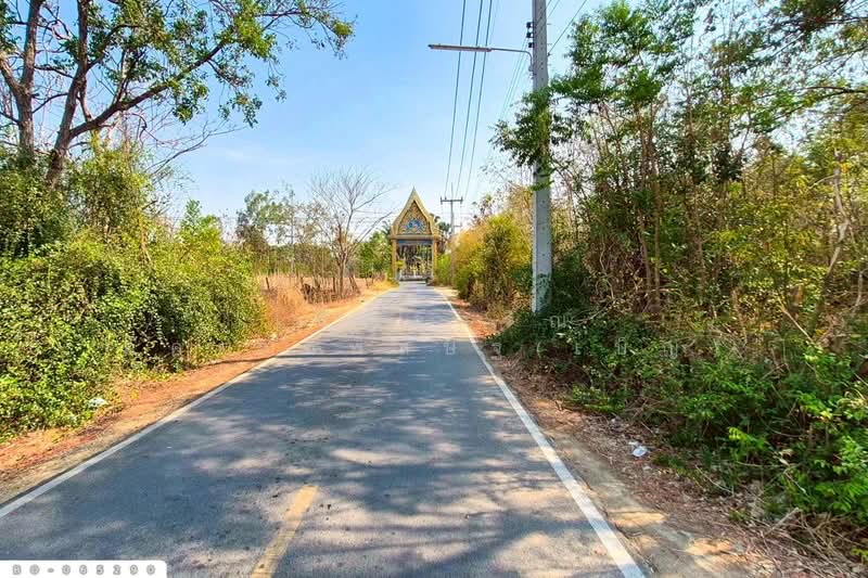 For Sale - Land for sale in Ban Mi, Lopburi. 1 rai 386.6 sq.w. Near Ban Mi District Office. BO-065290, Lop Buri