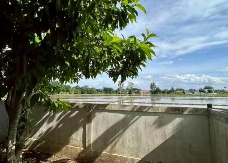 ขาย บ้านเดี่ยว โซนดอยสะเก็ด เชียงใหม่, Chiang Mai, San Pu Loei, Doi Saket, Chiang Mai, 2 Bedrooms, 85 sqm, Single Detached House For Sale, by Armon Yuenyong, 500285690 - DDproperty.com