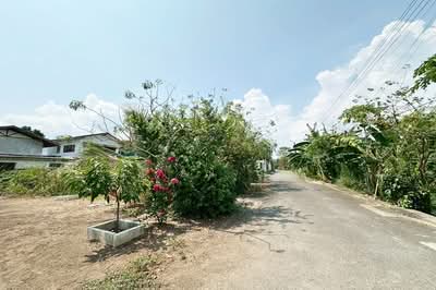 ขาย - ขายที่ดิน 65 ตร.ว. พุทธมณฑลสาย 2 ทำเลดี แปลงสวย ใกล้ถนนใหญ่, กรุงเทพ