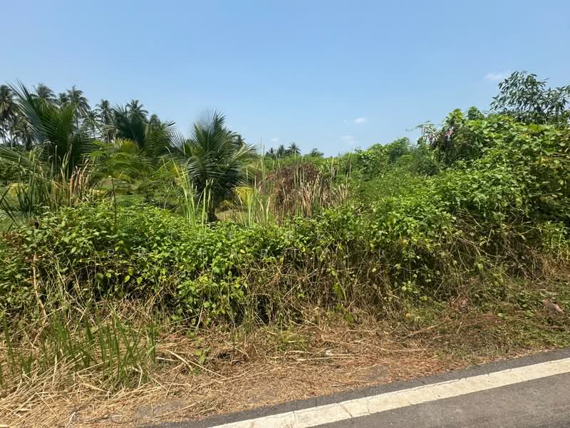 ที่ดินบางขันแตก สมุทรสงคราม, Samut Songkhram, Bang Khan Taek, Muang Samut Songkhram, Samut Songkhram, , 2,556 sqm, Land For Sale, by The Best Property แก้ว, 500285834 - DDproperty.com