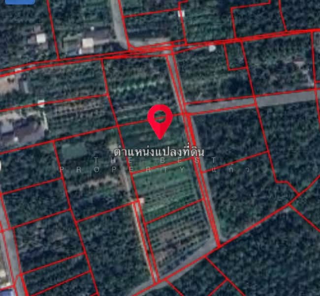 ที่ดินบางขันแตก สมุทรสงคราม, Samut Songkhram, Bang Khan Taek, Muang Samut Songkhram, Samut Songkhram, , 2,556 sqm, Land For Sale, by The Best Property แก้ว, 500285834 - DDproperty.com
