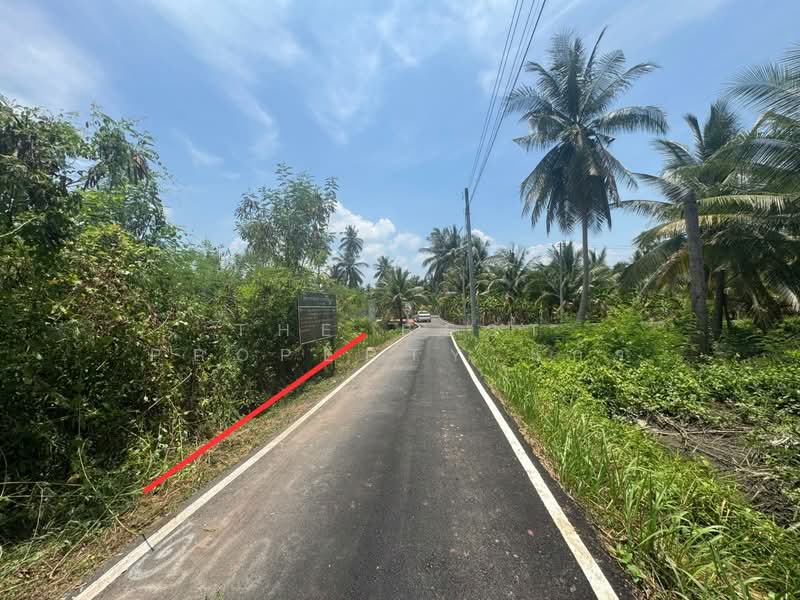 ที่ดินบางขันแตก สมุทรสงคราม, Samut Songkhram, Bang Khan Taek, Muang Samut Songkhram, Samut Songkhram, , 2,556 sqm, Land For Sale, by The Best Property แก้ว, 500285834 - DDproperty.com