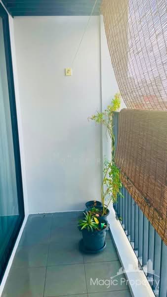 XT Ekkamai, Bangkok, 259 Soi Sukhumvit 63, Khlong Tan Nua, Watthana, Bangkok, 2 Bedrooms, 54 sqm, Condo For Sale, by Magic Property, 500285963 - DDproperty.com