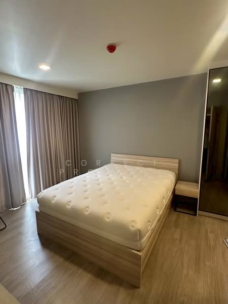 Maestro 03 Ratchada-Rama 9, Bangkok, Soi Ratchadaphisek 3 Ratchadaphisek Road, Din Daeng, Bangkok, 2 Bedrooms, 66 sqm, Condo For Rent, by Correct Property, 500286097 - DDproperty.com